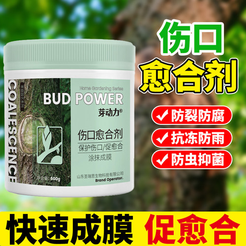 植物树木果树伤口愈合剂