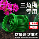 三角梅造型铁丝盆景造型专用铝丝蟠扎园艺铁丝专用花卉定型铝丝