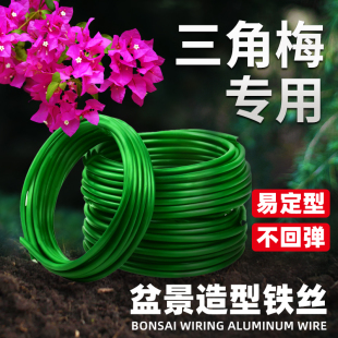 三角梅造型铁丝盆景造型专用铝丝蟠扎园艺铁丝专用花卉定型铝丝