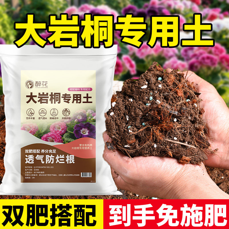 进口大岩桐专用营养土重瓣落雪泥专用泥炭土客厅阳台可用家用土