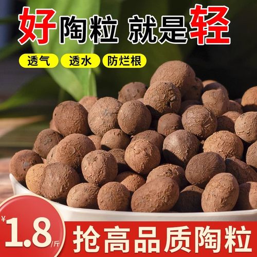 垫底铺面陶粒土花卉回填蜂窝透气