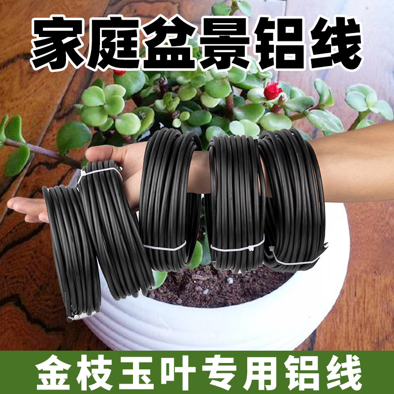 金枝玉叶盆景造型专用铝丝铝线蟠扎定型绑花盆栽园艺铝条花艺制作
