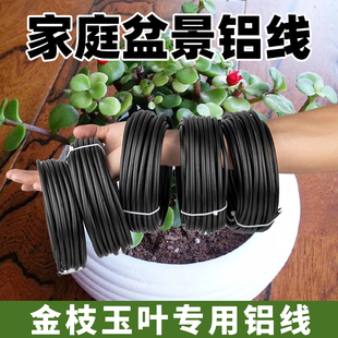 金枝玉叶盆景造型专用铝丝铝线蟠扎定型绑花盆栽园艺铝条花艺制作
