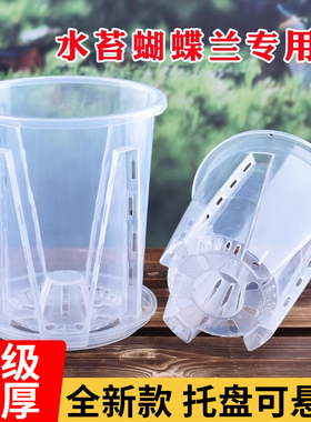 透明青山控根盆兰花石斛水苔蝴蝶兰专用花盆大号家用塑料透气镂空