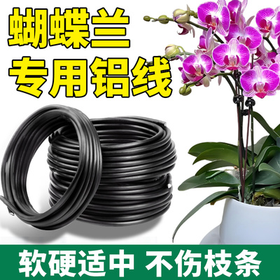 蝴蝶兰专用盆景造型铝丝铝线
