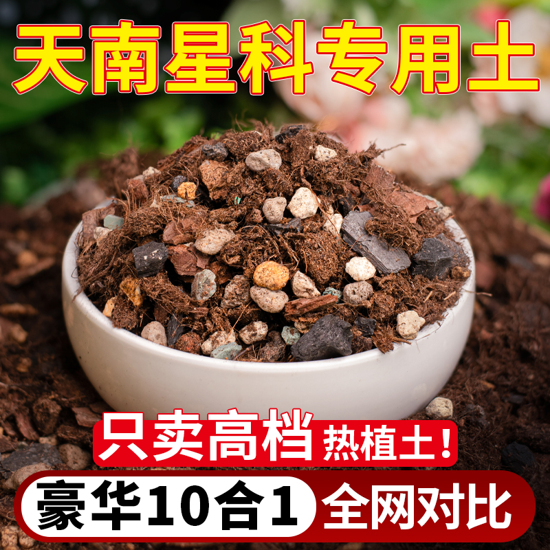 超豪华10合1全是高端基质