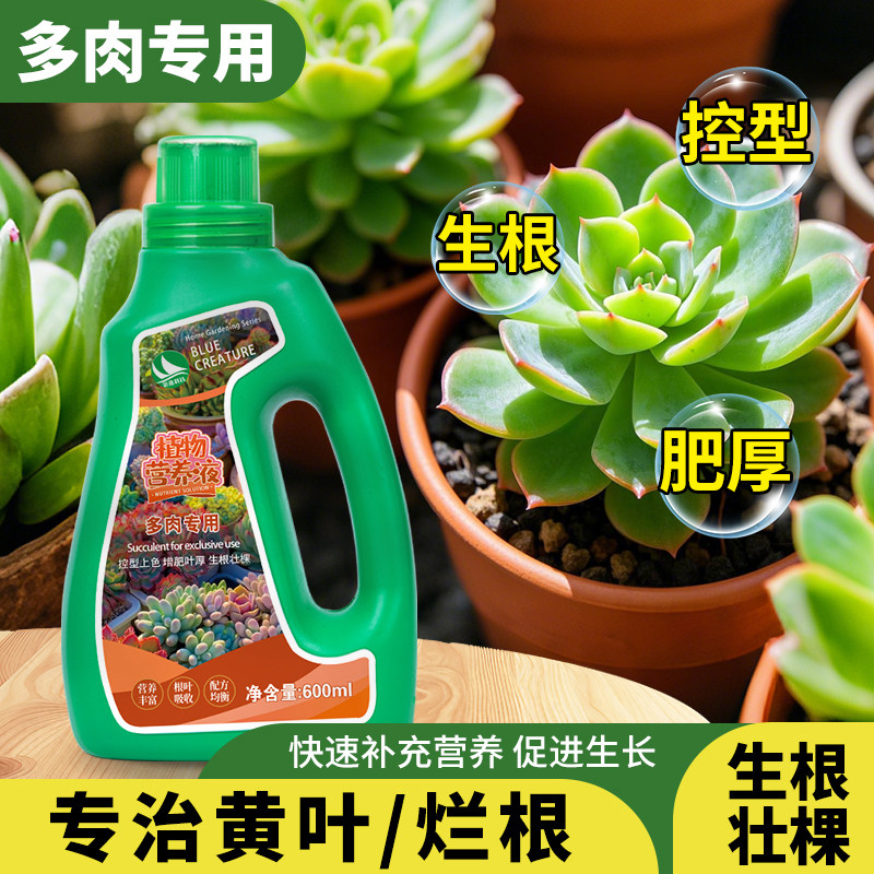 花多多鲜花速递多肉植物专用肥营养液体肥料花卉绿植发芽矮胖素,鲜花速递/花卉仿真/绿植园艺,家庭园艺肥料,淘宝优惠券,粉丝福利购,淘宝优惠卷