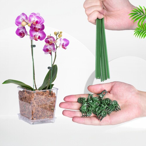 蝴蝶兰花支架专用园艺兰花夹