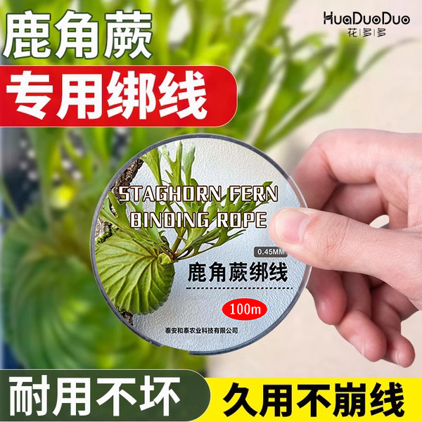 鹿角蕨专用绑线韧性强耐用性强