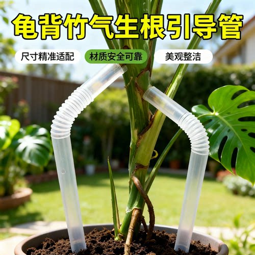 花多多龟背竹气生根引导管蝴蝶兰固定神器矫正套管龟背竹支撑杆