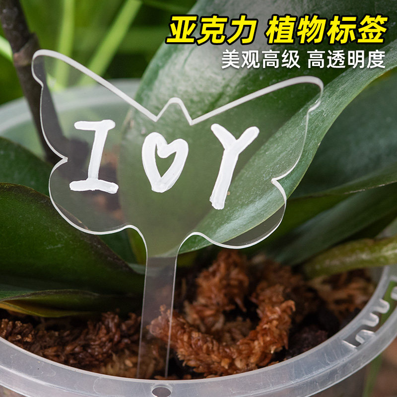 亚克力标签高透明花盆小插牌