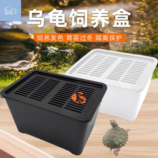 乌龟饲养盒冬眠专用小型鱼缸水族箱宠物盒子塑料盒避光饲养套盒