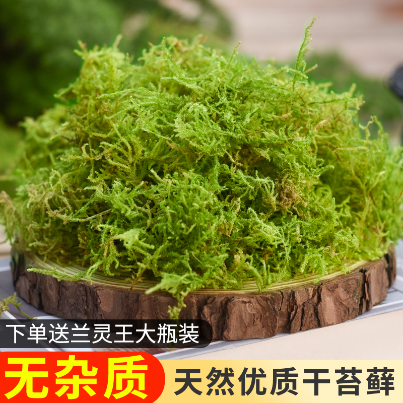 醉花精美包装营养土天然干青苔