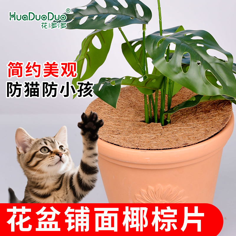 椰丝铺面防猫防小孩神器