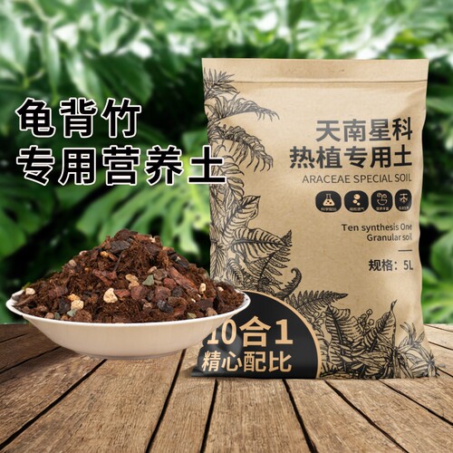 龟背竹专用土天南星科热植专用土龟背竹秋海棠营养土透水透气土壤
