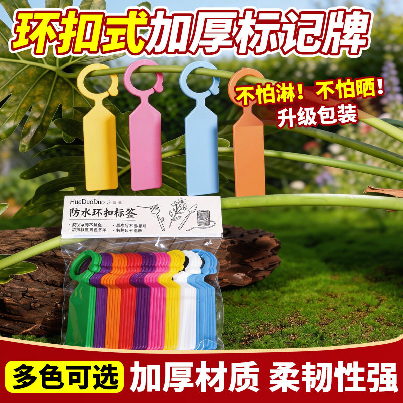 园艺标签植物挂牌防水吊牌塑料植物花卉水果标识卡环扣卡记号牌图片