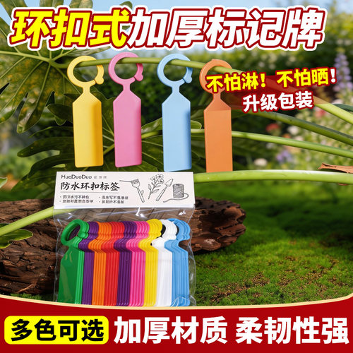 园艺标签植物挂牌防水吊牌塑料植物花卉水果标识卡环扣卡记号牌