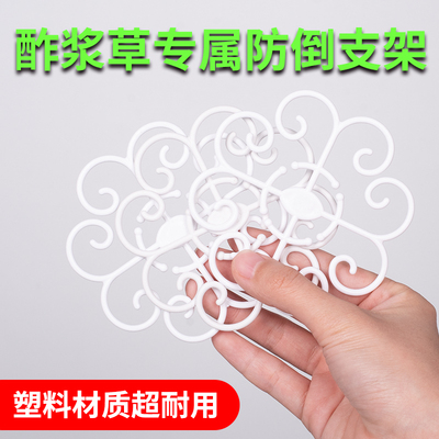 酢浆草专用固定防倒伏造型支架