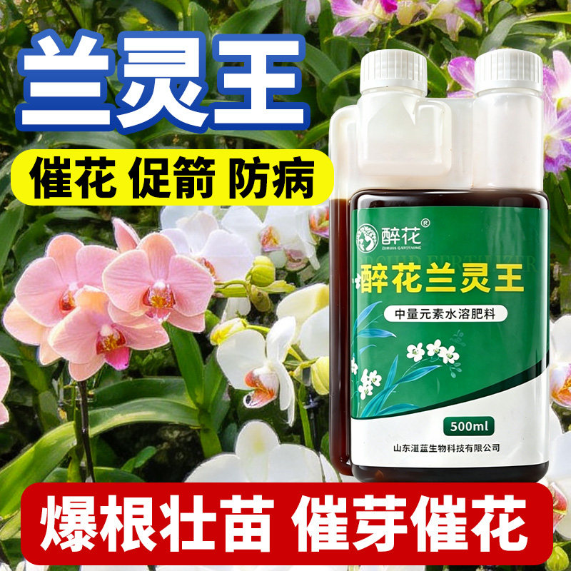 兰灵王兰花专用营养液