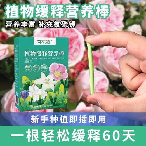 植物营养棒缓释盆栽花卉家