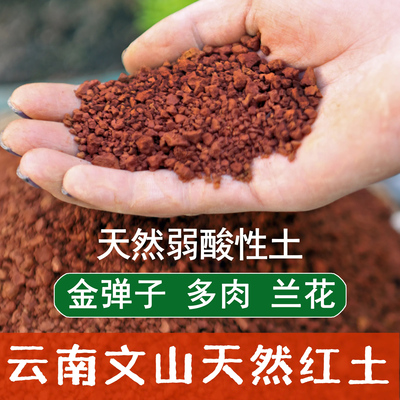 云南红土杜鹃兰花茶花茉莉三角梅专用红泥土颗粒酸性天然红土
