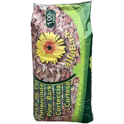 拍1发2超划算兰花专用