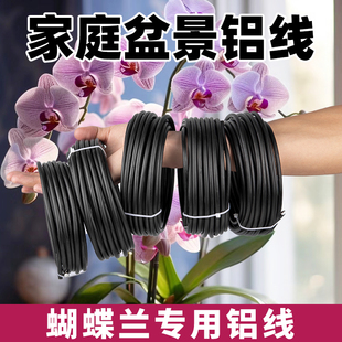 蝴蝶兰盆景造型专用铝丝铝线蟠扎定型绑花盆栽园艺铝条花艺制作