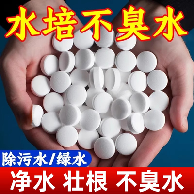 水培植物净片鲜花卉保剂不