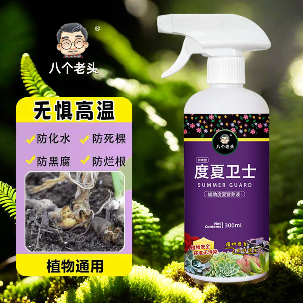 植物度夏专用营养液抗涝热