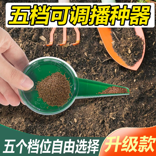 花多多园艺播栽育苗盘