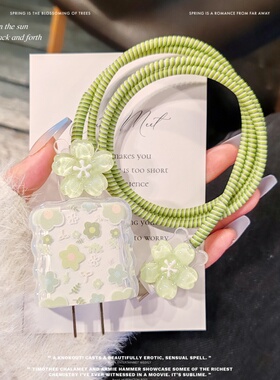 樱声适用苹果17充电器保护套20W高级感16promax数据线保护缠线15pro手机充电线防折断咬线器14充电器收纳包