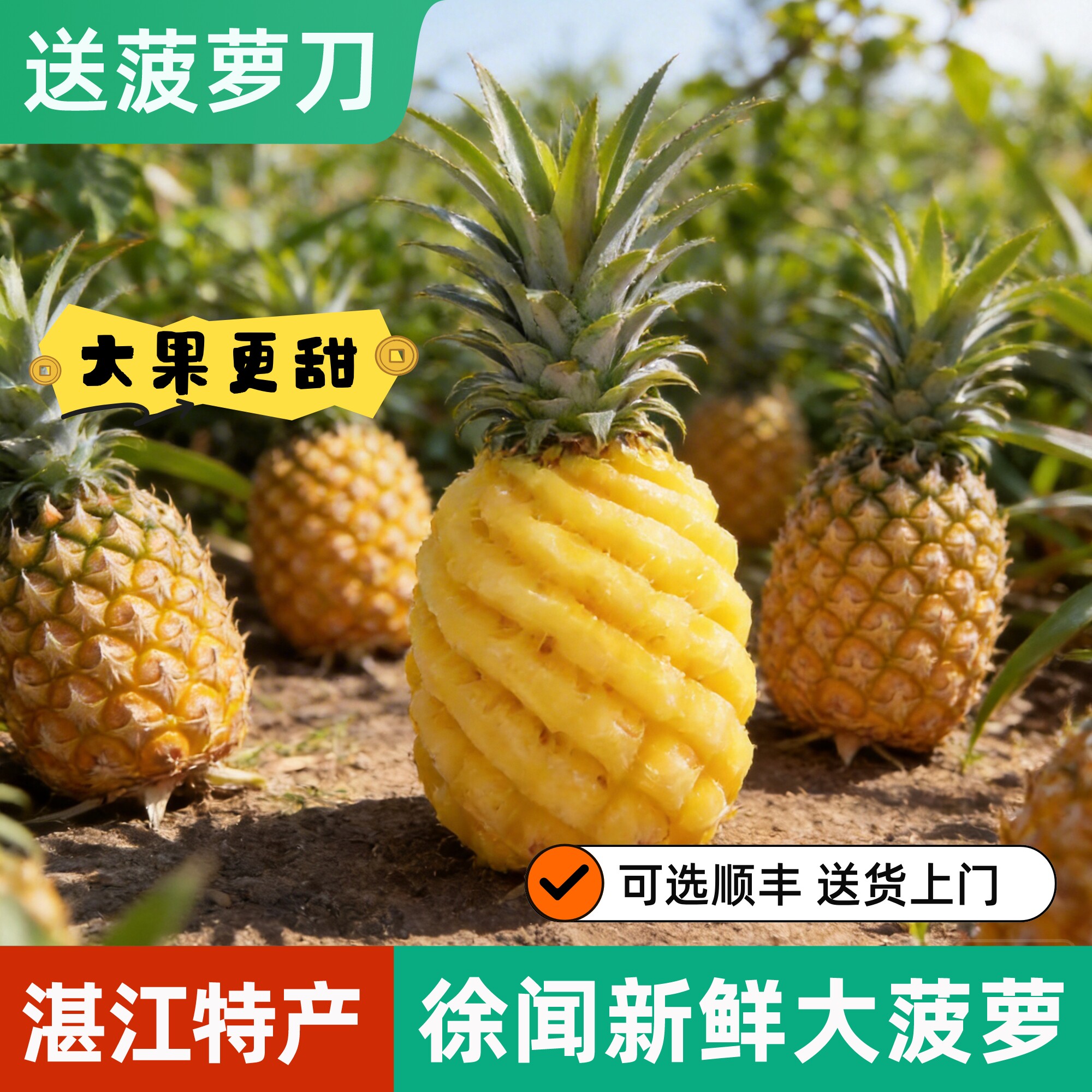 春季徐闻菠萝新鲜现摘中大果湛江特产应季水果需浸盐水有眼地波罗