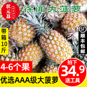 徐闻菠萝新鲜水果带箱10斤 顺丰包邮 湛江特产香水波萝广东小凤梨