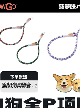 Howgo全P项圈狗狗牵引绳遛狗小中大型犬p链p绳防爆冲脖圈赛级超轻