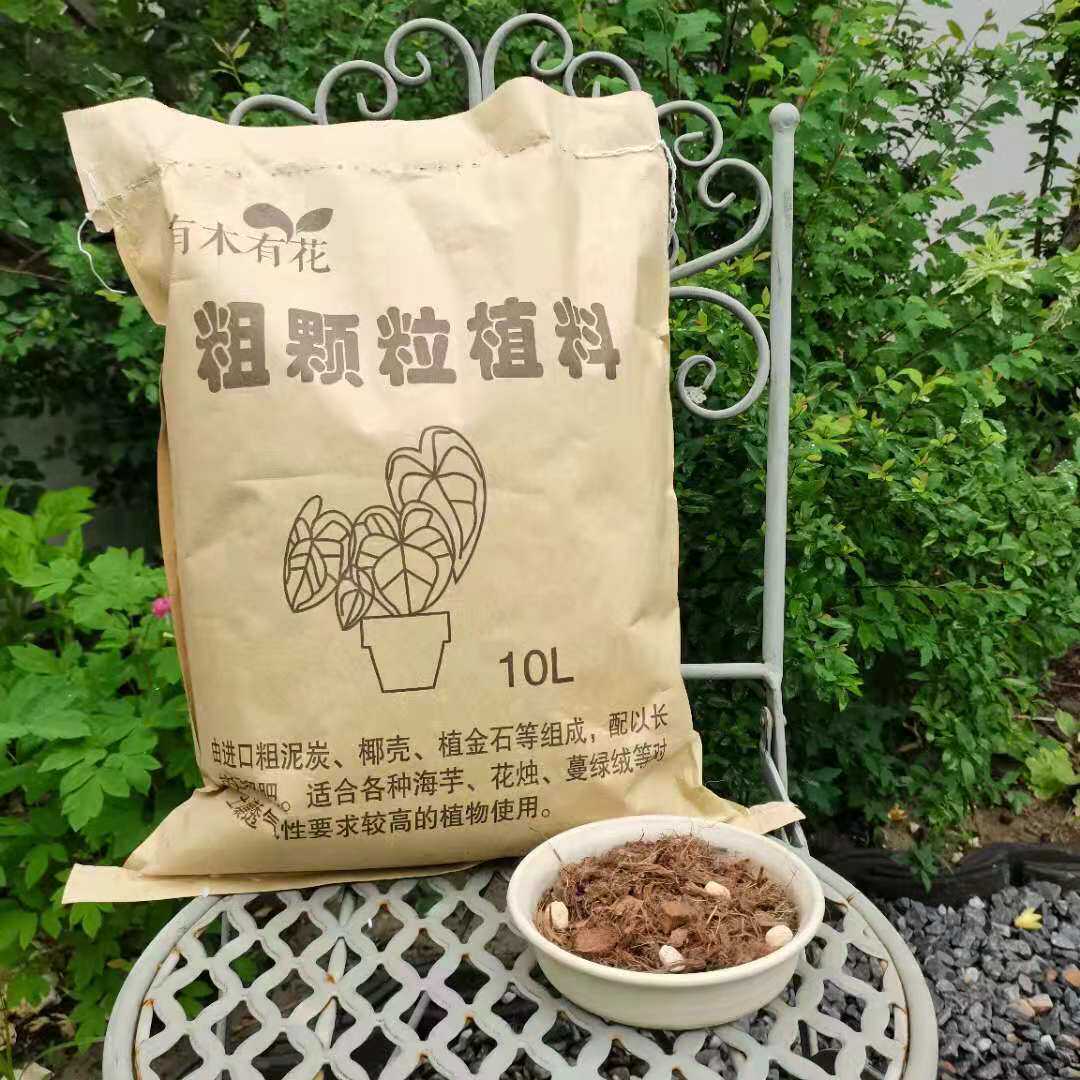 颗粒植料透气性好金石适合海芋