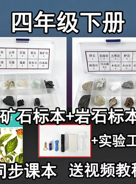 岩石矿石标本小学四下科学实验