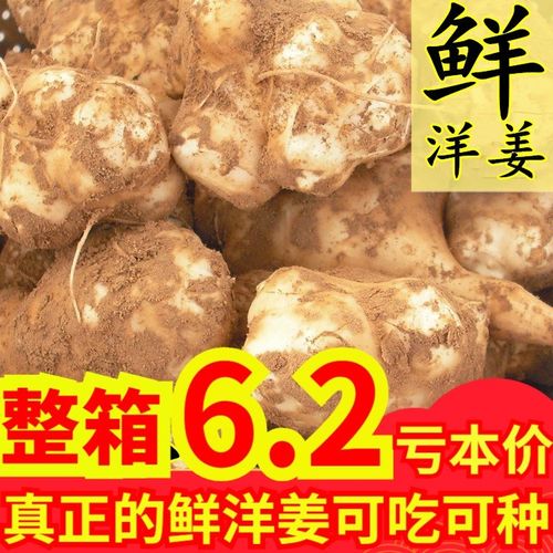 生洋姜多少钱 生洋姜价格 小麦优选