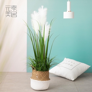 北欧INS网红芦苇盆栽装饰狗尾巴草仿真蒲苇洋葱草绿植蒲公英假花