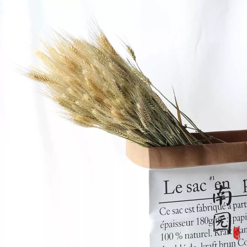 天然麦穗干花开业大麦田园装饰礼品拍摄道具干花真花麦子真花麦子|ruв категории доставка цветов/цветок моделирования/растения садоводства, вечную жизнь цветы/сушеные цветы, сушеные цветы - от Buy2taobao.com для оказания профессиональной услуги покупки агента Taobao