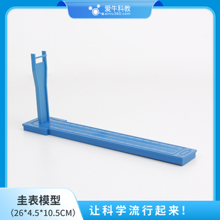 小学科学圭表模型计量时间时间在流逝课题