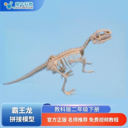 爱牛科教  拼接恐龙化石 霸王龙 三角龙 剑龙 恐龙骨骼模型
