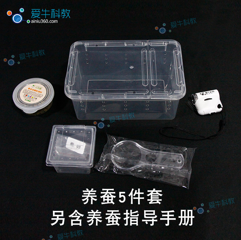 小学科学养蚕套装另加养蚕指导手册 蚕卵蚕饲料带孔饲养盒