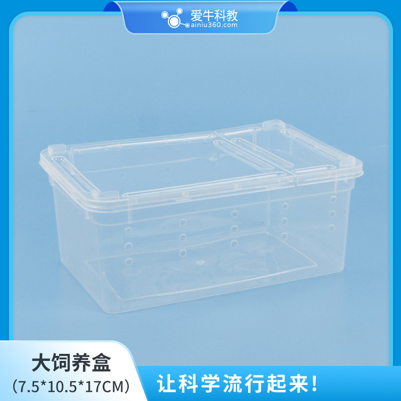 小学科学 蚕卵蚕饲料饲养盒结茧网带孔饲养盒