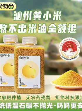 独立罐装 沁州黄小米石碾小米含胚芽小米油小米赠送熬小米油教程