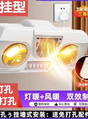 浴霸壁挂式暖风机二合一浴室浴霸灯小型风暖灯暖一体经济型节能器