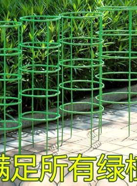 植物爬藤花架子室内外家用支架蟹爪兰花架莲花护叶架子盆栽支撑杆