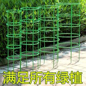 植物爬藤花架子室内外家用支架蟹爪兰花架莲花护叶架子盆栽支撑杆