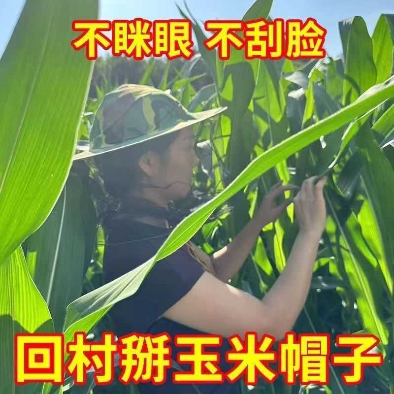 干农活农村玉米地干活专用帽子防护帽防虫防迷眼防刮脸掰玉米苞谷