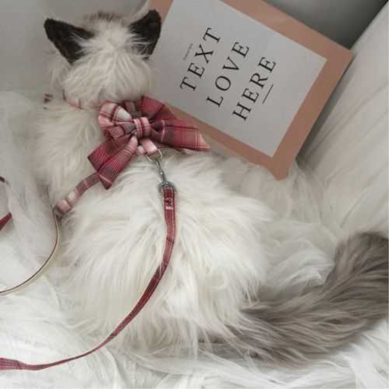 高颜值猫咪牵引绳外出防脱工字型溜猫绳布偶猫英短蓝猫幼猫兔子