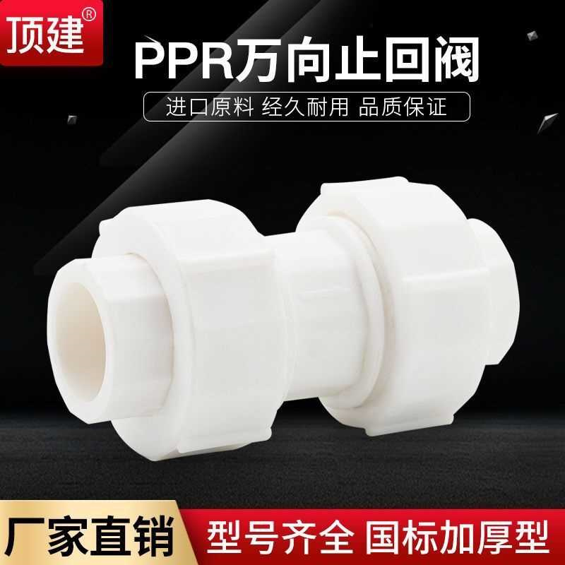 PPR万向止回阀6分ppr双活接排气逆止阀4分单向阀1寸